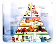 Aliments et Alimentation 1