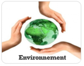 Environnement et MS Divers