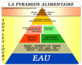 Aliments et Alimentation 2